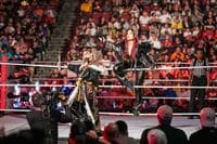 【画像】どちらも美しい希少な2ショット