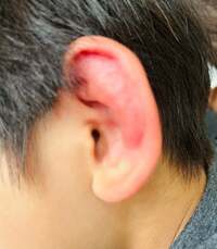 ココリコ遠藤嫁『大変』