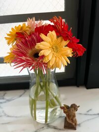 堀ちえみ『初めて聞いたあの時の彼のメンタル』