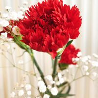 新山千春『✨母の日✨』