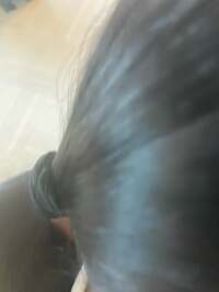 市川團十郎白猿『学校』