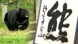 【詳しく見る】今年の漢字　2025年は「熊」に　僅差の2位は「米」　20位まで紹介　これまで最も選ばれた漢字は？