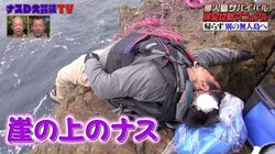 ナスD、眠気が限界に達し崖の上で寝落ち…衝撃映像にバイきんぐ小峠「すごいね、これ」