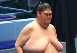 「まわしの上下で別人みたい」身長185センチ巨漢力士の“ほっそり美脚” 不思議な魅力が話題