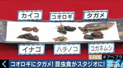 人類の胃袋を救うのは“虫”？昆虫食パーティに潜入！その魅力と可能性に迫る
