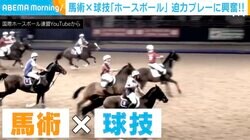 “馬術”と“球技”が合わさったスポーツ「ホースボール」 日本の第一人者、西島隆史さんが語る魅力とは