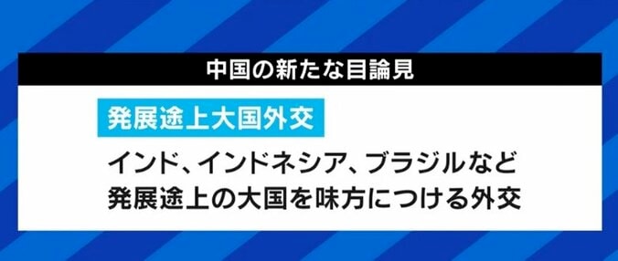 “親中”ウクライナと“パートナー”ロシアの板挟みに揺れる中国…3期目を狙う習近平主席の胸中は 11枚目