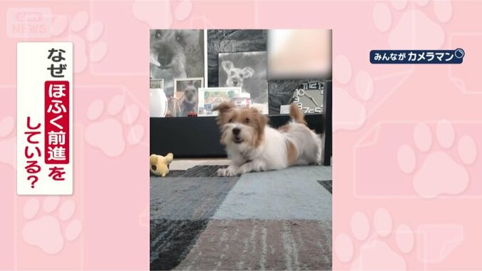 ほふく前進するのはなぜ？