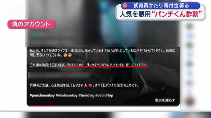 「テレグラム」に誘導する偽のアカウント