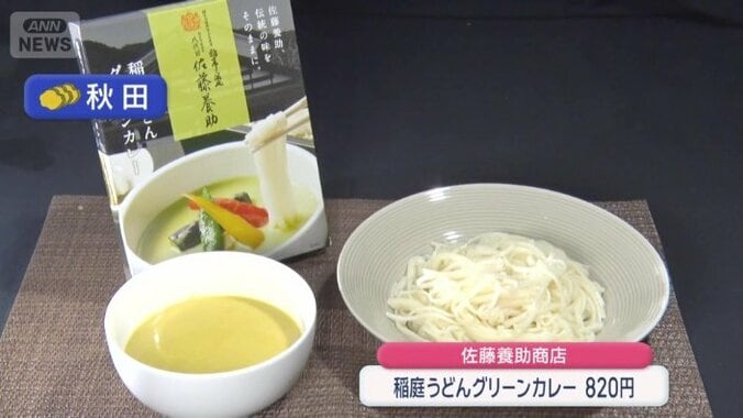 稲庭うどんグリーンカレー