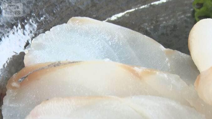 春から夏もおいしいタラ　ブランド化を目指す　身が締まってほんのり甘い 1枚目