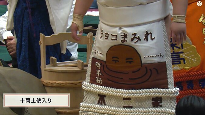 「反則級にかわいいw」十両力士の“クセつよ”化粧まわしが出現 ファンざわめき 3枚目