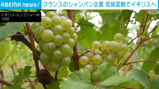 イギリス・ハンプシャー州