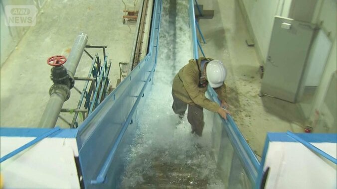 「恐怖感じた」たった30cmが命脅かす　浸水・冠水被害検証　車のスライドドアも 1枚目