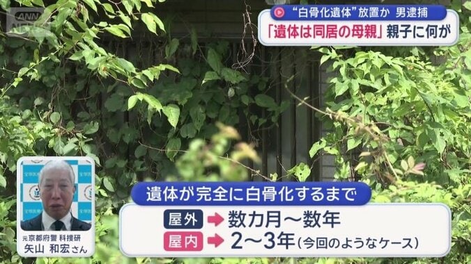 どれくらい前に亡くなったと想定されるのか