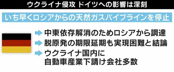 ひろゆき氏「原発を動かす以外ない」エネルギー“ロシア依存”解消の動きに持論 3枚目