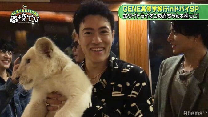 GENERATIONS、かわいすぎるホワイトライオンの赤ちゃんにメロメロ… 7枚目