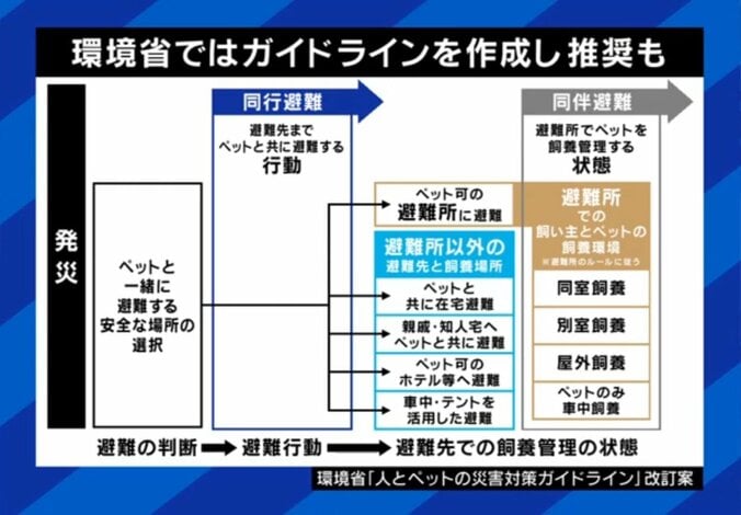 ガイドライン