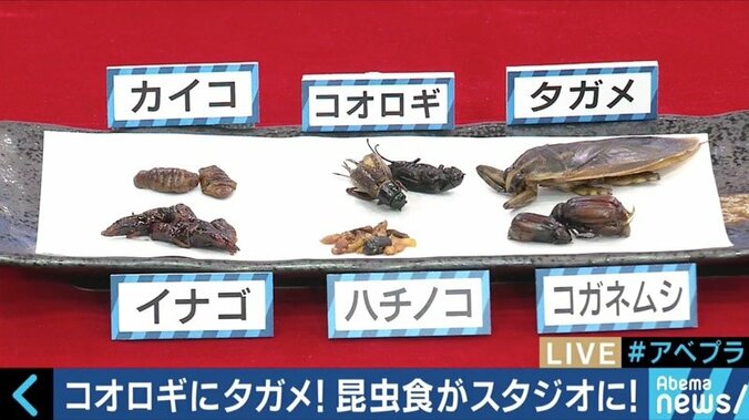 人類の胃袋を救うのは“虫”？昆虫食パーティに潜入！その魅力と可能性に迫る 1枚目