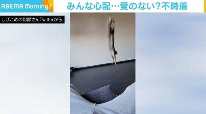 猫が空中のおもちゃめがけジャンプ！ 着地したのは飼い主の股…「変な声でた」 1枚目