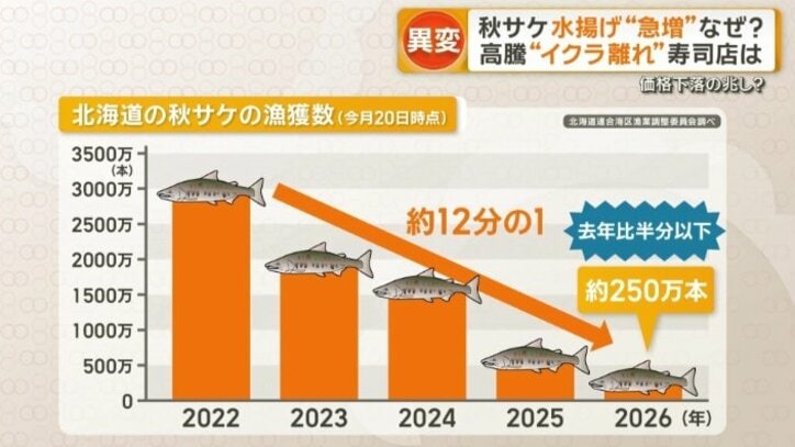 北海道の秋サケ漁獲数（今月20日時点）