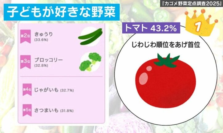 野菜定点調査2025