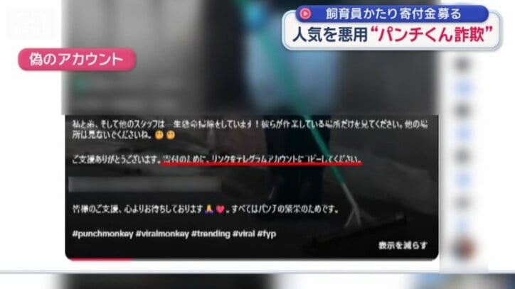 「テレグラム」に誘導する偽のアカウント