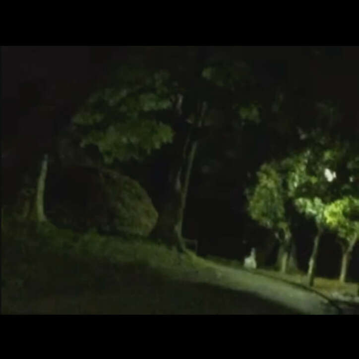 ポケモンgo ゲーム実況のはずがカメラに奇妙なモノが映りリアルホラー実況に その他 Abema Times