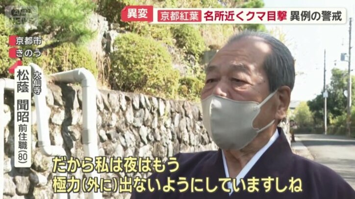 クマに出会わないよう対策