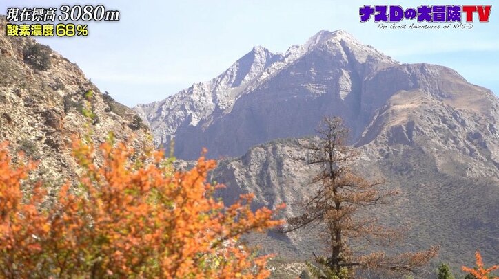 ナスD取材班の1人が過酷旅でフラフラに…「無理してもどうかなと思う」またも離脱者が出てしまうのか?