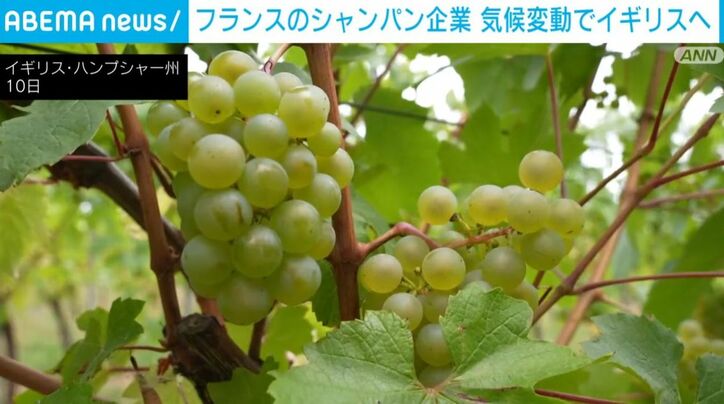 イギリス・ハンプシャー州