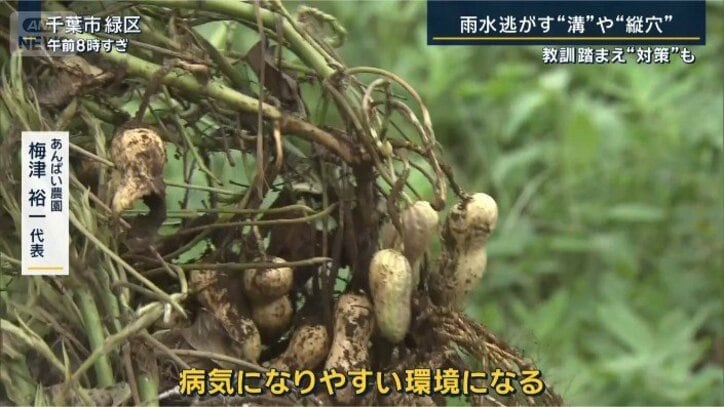 梅津代表