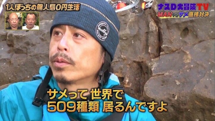 「4億年も生きている…」ナスDが語る“海の殺し屋”サメの豆知識