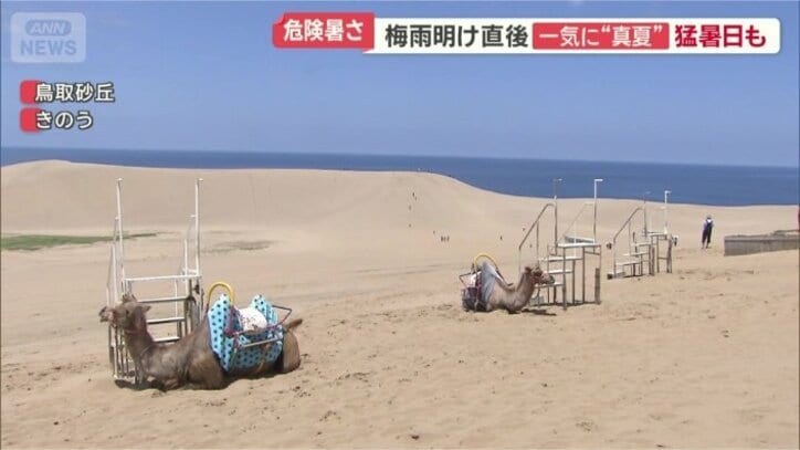 鳥取砂丘