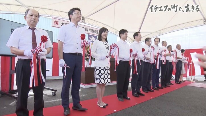 「“毒イチゴ農家”ってネットに書かれたことも…」“イチエフ”の町・大熊で生きることを決めた人たち