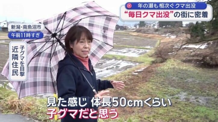 子グマを目撃　近隣住民