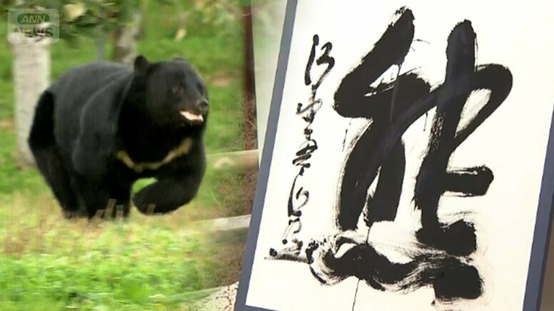 【詳しく見る】今年の漢字　2025年は「熊」に　僅差の2位は「米」　20位まで紹介　これまで最も選ばれた漢字は？