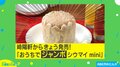 中から22個のシウマイが…崎陽軒から『おうちでジャンボシウマイmini』爆誕！担当者「おいしい思い出を作って」
