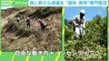「3日働いて1日休む…」伐採後の植林・育林の人手不足に林業専門ベンチャーが“柔軟な働き方”を導入