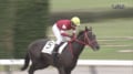 馬名は「リーチツモドライチ」…麻雀ルーツの珍名馬“一発アガリ”デビュー勝ちにネット沸騰「実況も解説も笑った」