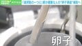 将来の妊娠・出産… ライフプランの選択肢の一つに“卵子凍結”を 東京都が健康な人も支援