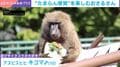 “水圧”が気になるサルのおちゃめな姿に「触っちゃうよね」「止められないんですよね」の声