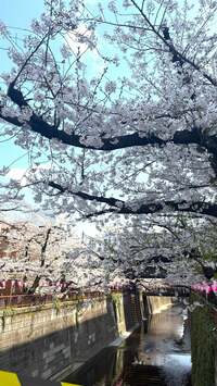 みきママ『息子が帰ってきました！！』