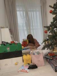 アレクサンダー『片付けてします　』