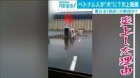 ベトナム人が“犬“にされている…“誤訳“が原因で炎上・強迫まで