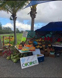 野沢直子『アロハしゃもじ』