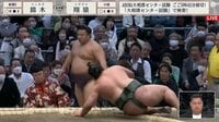 【映像】土俵から転がり落ちた翔猿