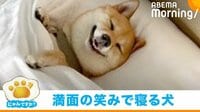 ふとんにすっぽり入り“ニコニコ” 幸せそうな寝顔に反響