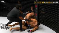 【映像】柔術実力者、よもやのワンパンKO負け