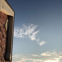 堀ちえみ『大晦日です!昨日は夜中まで朝は早くから』